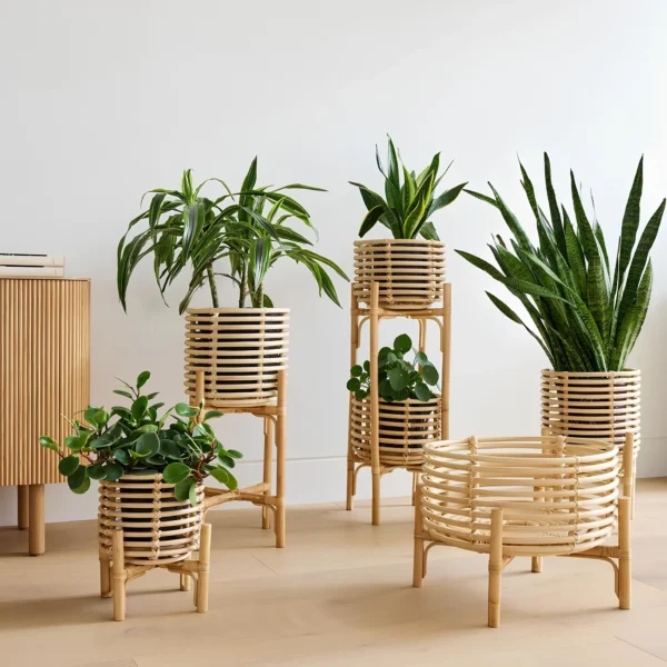 Pots and Planters